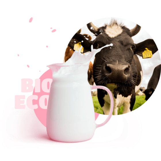 cow and jar of milk